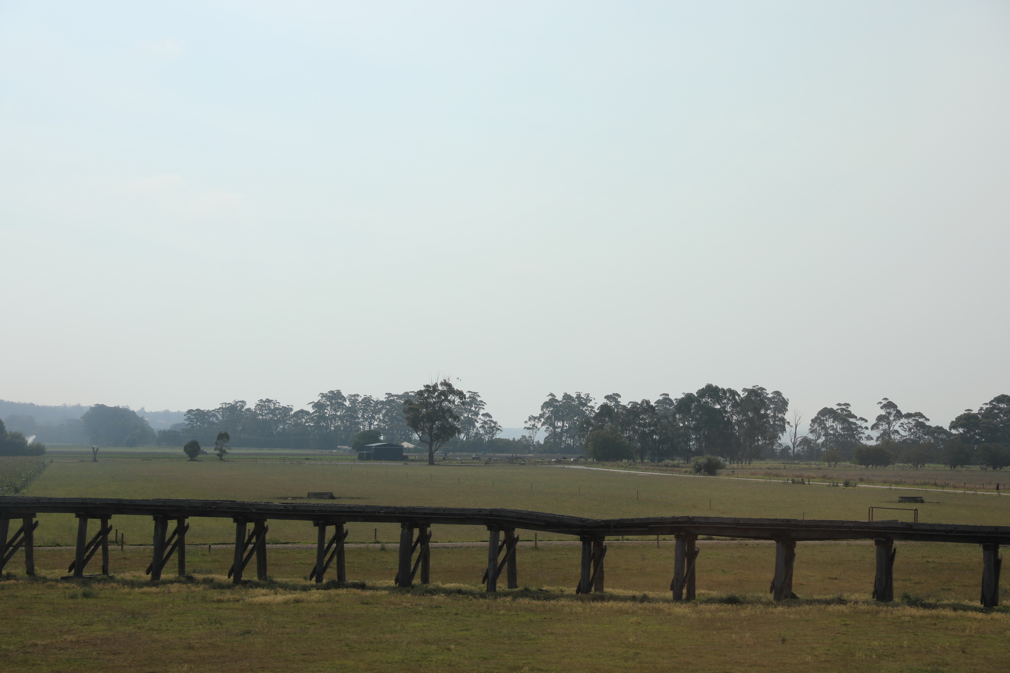 2019 12 26 16 50 49 Canon EOS 5D Mark IV 0007